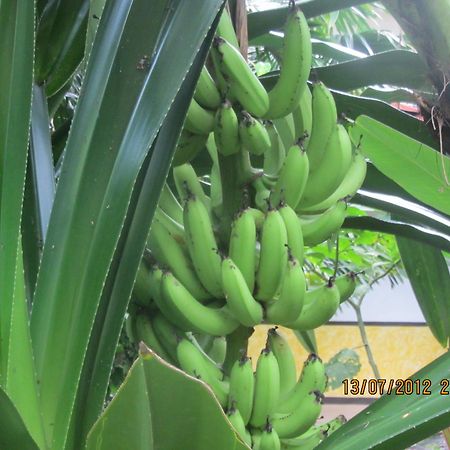 Hotel Belvedere Playa Samara Costa Rica Zewnętrze zdjęcie