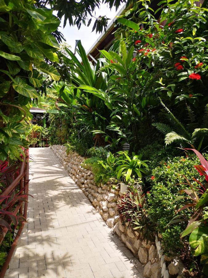 Hotel Belvedere Playa Samara Costa Rica Zewnętrze zdjęcie