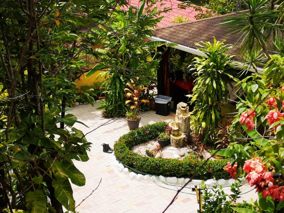 Hotel Belvedere Playa Samara Costa Rica Zewnętrze zdjęcie