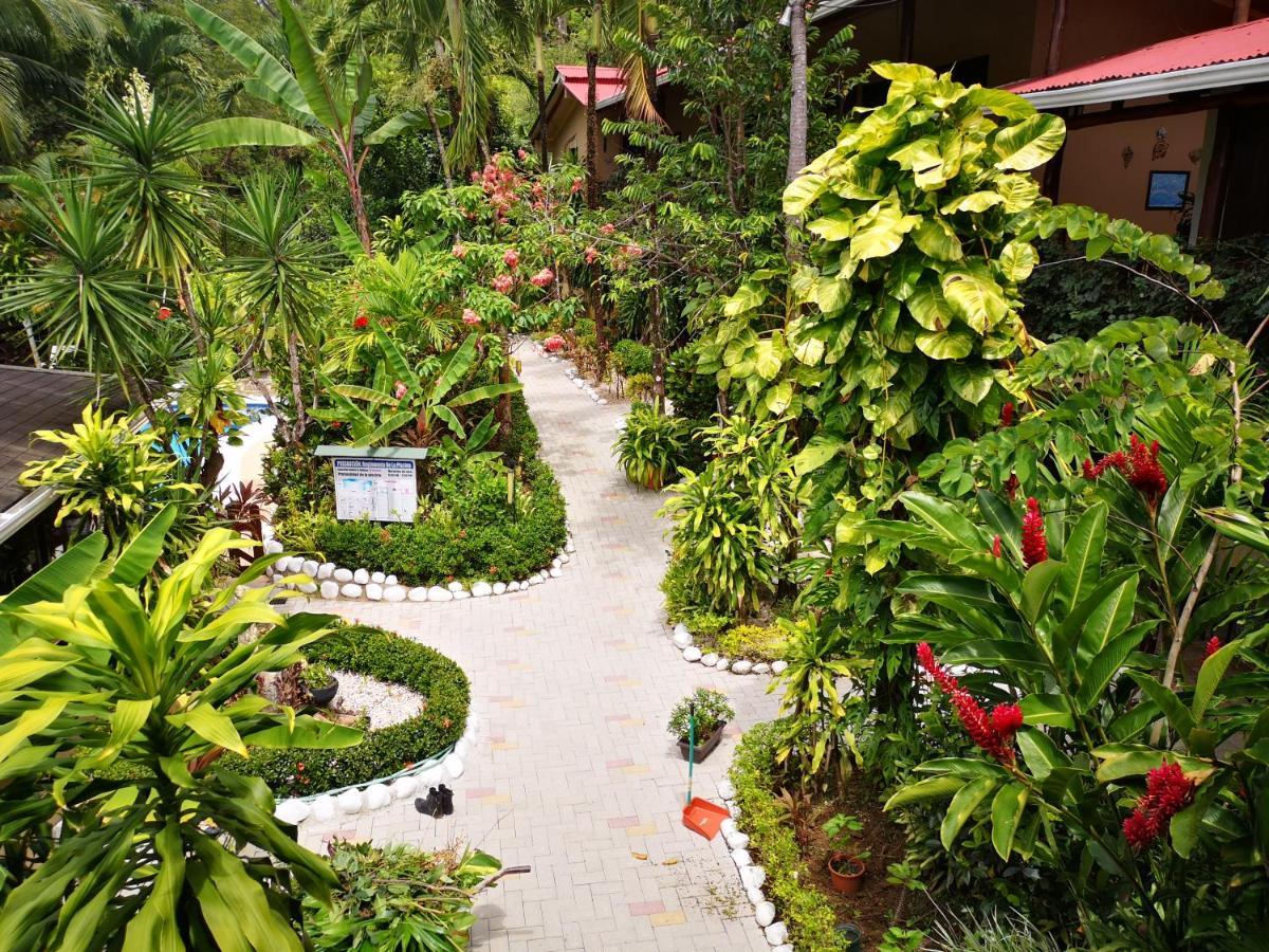 Hotel Belvedere Playa Samara Costa Rica Zewnętrze zdjęcie