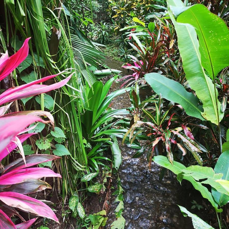 Hotel Belvedere Playa Samara Costa Rica Zewnętrze zdjęcie