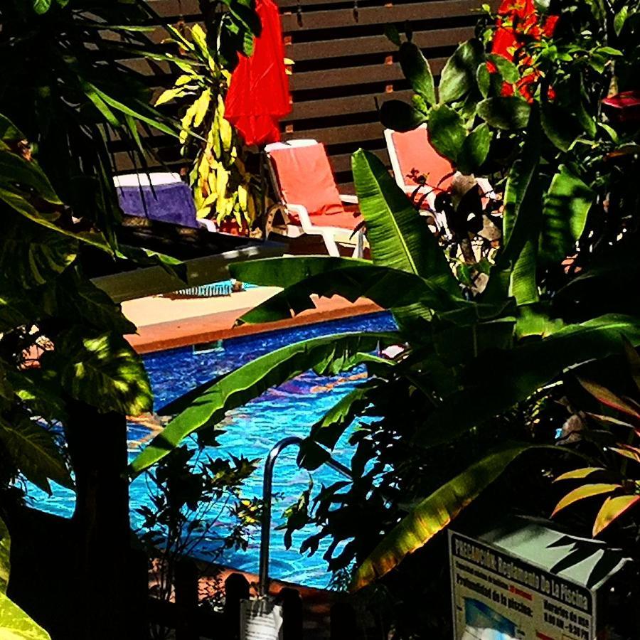 Hotel Belvedere Playa Samara Costa Rica Zewnętrze zdjęcie