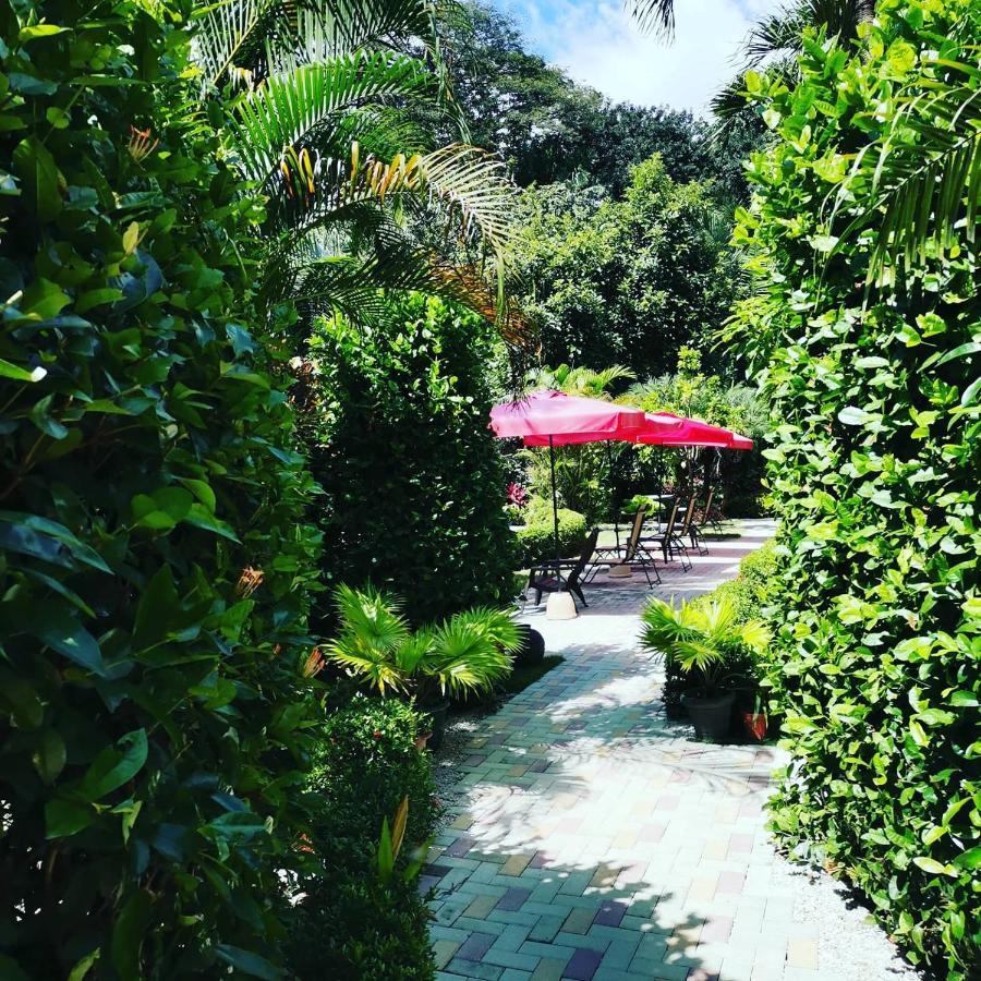Hotel Belvedere Playa Samara Costa Rica Zewnętrze zdjęcie