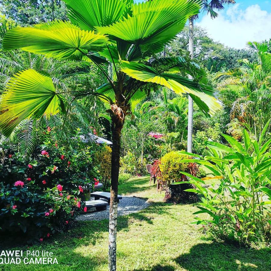Hotel Belvedere Playa Samara Costa Rica Zewnętrze zdjęcie