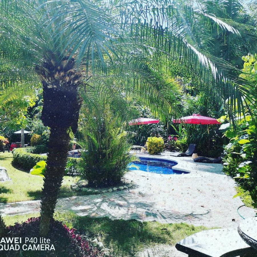 Hotel Belvedere Playa Samara Costa Rica Zewnętrze zdjęcie