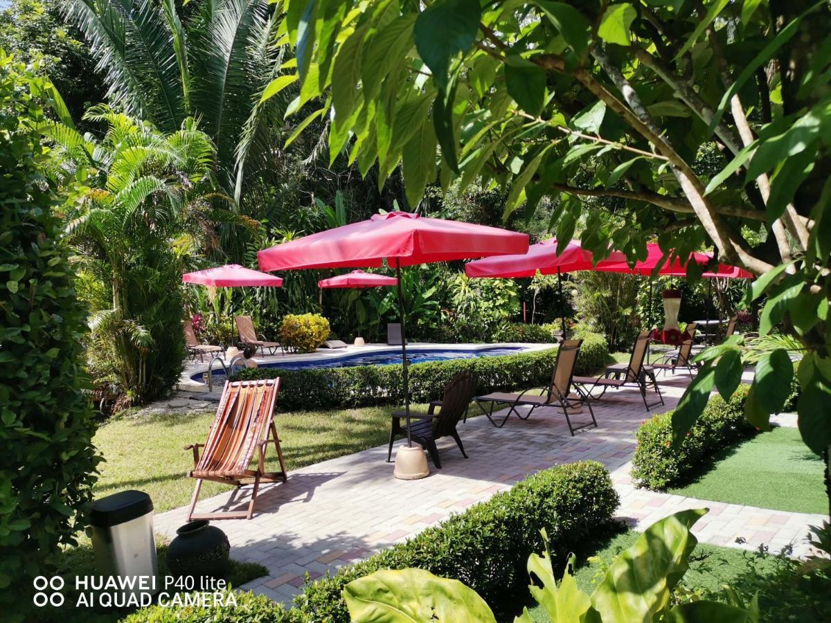 Hotel Belvedere Playa Samara Costa Rica Zewnętrze zdjęcie