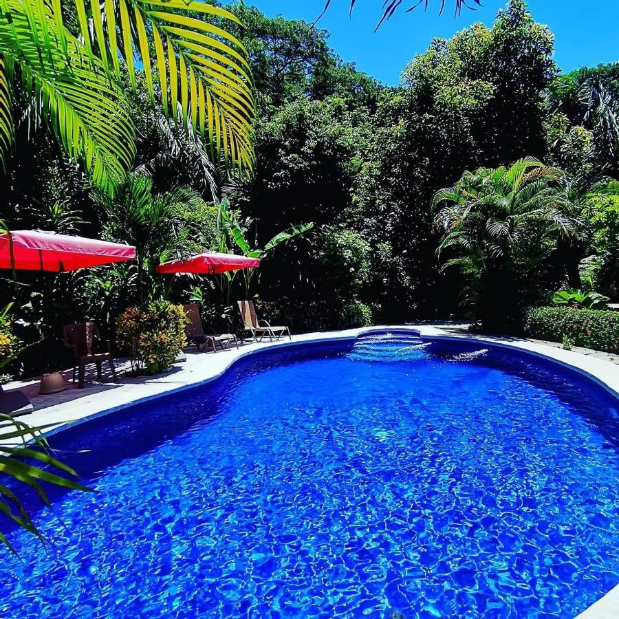 Hotel Belvedere Playa Samara Costa Rica Zewnętrze zdjęcie