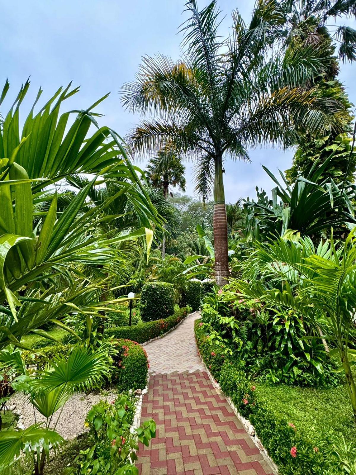Hotel Belvedere Playa Samara Costa Rica Zewnętrze zdjęcie
