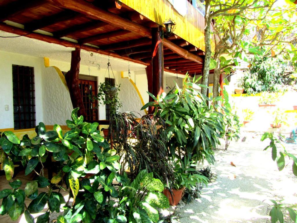 Hotel Belvedere Playa Samara Costa Rica Zewnętrze zdjęcie